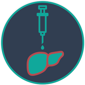 Image of liver