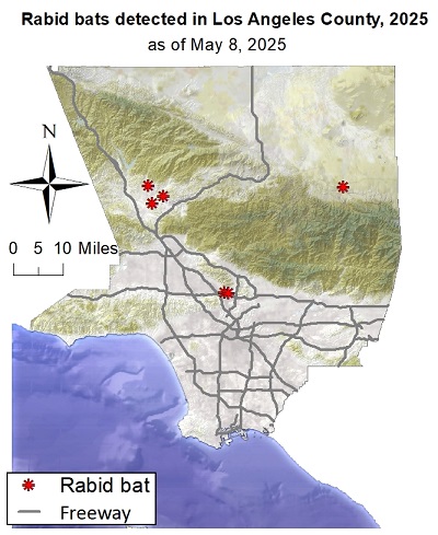 Map showing rabid bat detections in Los Angeles County since January 1, 2025
